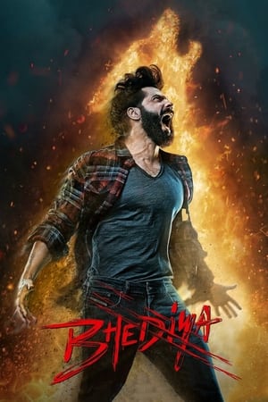 Bhediya 2022 Hindi Movie Pre-DVDRip | Hindi Dubbed Movie – 480p