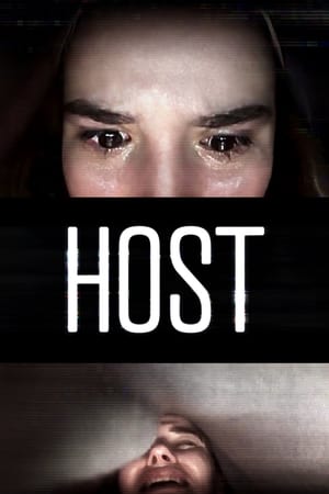 Host 2020 Hindi Dual Audio | Hindi Dubbed Movie BluRay 220MB