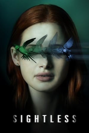 Sightless 2020 Hindi Dual Audio | Hindi Dubbed Movie Web-DL 300MB