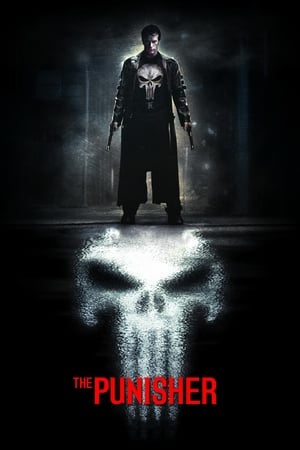 The Punisher 2004 Hindi Dual Audio | Hindi Dubbed Movie BluRay 380MB